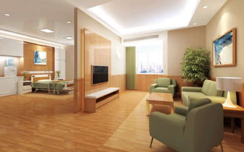 VIP病房家具